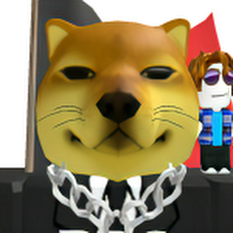 BusinessDogeYT