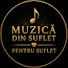 upVhXky5odE-channel-avatar-Muzică Din Suflet • Pentru Suflet