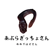 あぶらぎっちょさん