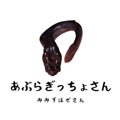 あぶらぎっちょさん