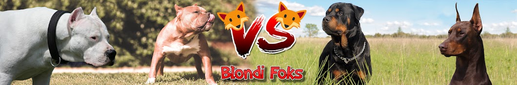 Blondi Foks Аватар канала YouTube