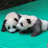 7q-4EK7TI4E-channel-avatar-Chengdu Tourism 