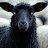 @BlackSheepBaaaa