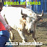 ZBa5UmCz0bg-channel-avatar-JESUS MEDRANDA VIDEOS DE TOROS