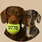 Otto the Dachshund  logo