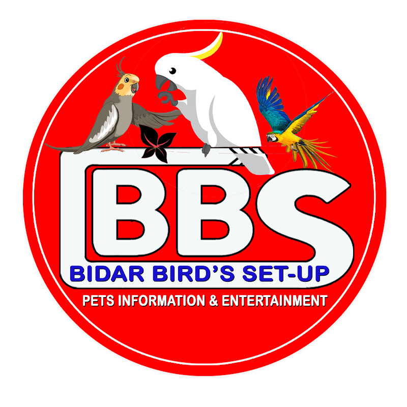 Bidar Bird's Z Set-up