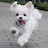 @아르고노트-c8b