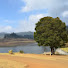 gN7JS8rxf8k-channel-avatar-Nilgiri topic 
