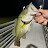 Photo of @SebastianBassFishing