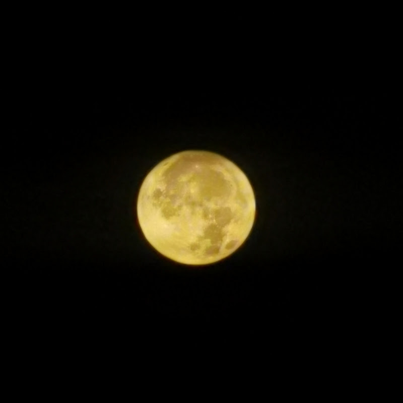 Channel Avatar
