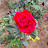 @GowsiChandru-f6q