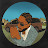 Avatar photo