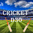 Cricket D30