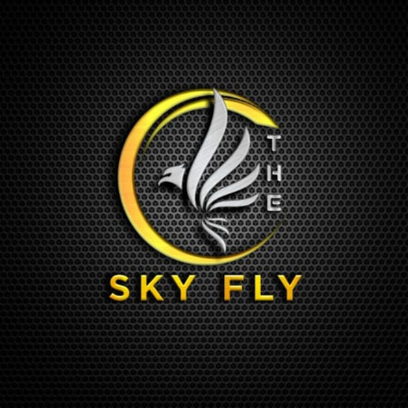 THE SKY FLY
