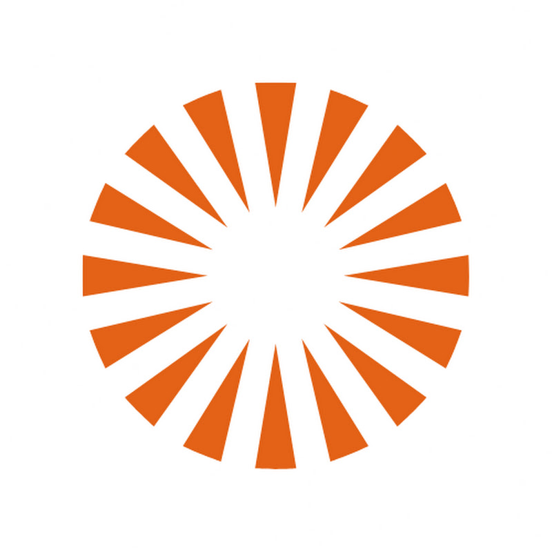 International Association for Safe & Ethical AI Logo