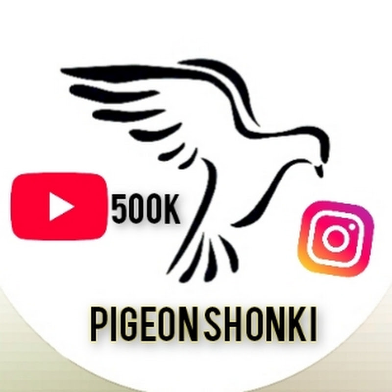 pigeon shonki