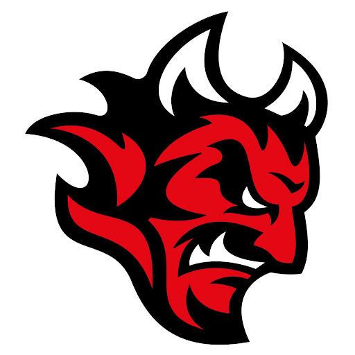 Cardiff Devils