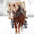 BqVy6G-IGIU-channel-avatar-Перевозский конный завод_Perevozsky stud farm