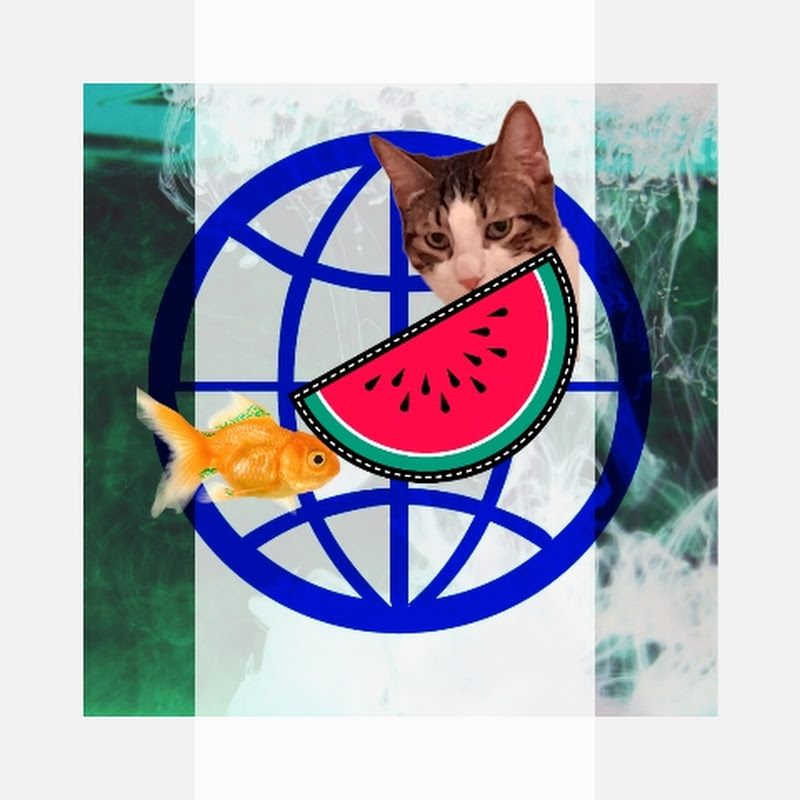 LearnMotivate channel