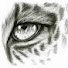 Q5Ev3Ytqr9U-channel-avatar-open Gate