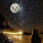 @abdofarouktawfek6045