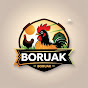 Boruak logo