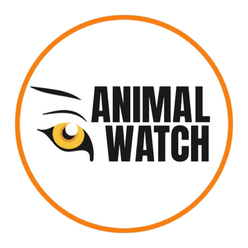 Animal Watch