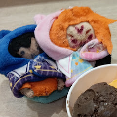 異端和の色々な推し活チャンネル