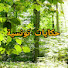 _inRBcAwJK8-channel-avatar-حكايات تونسية