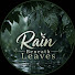 rKVHRJOv3es-channel-avatar-Rain Beneath Leaves