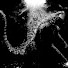 yG-_8IyDvlA-channel-avatar-Deathzilla