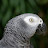 @Theodorefine's avatar