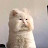 @user-py5lp5tq3w