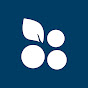 Grapevine's First Baptist Church logo