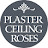 Plaster Ceiling Roses