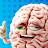 Neural Derp