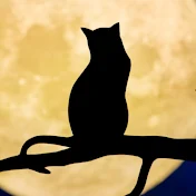 黒猫スカッとナイト