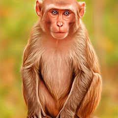 monkeyblog1442