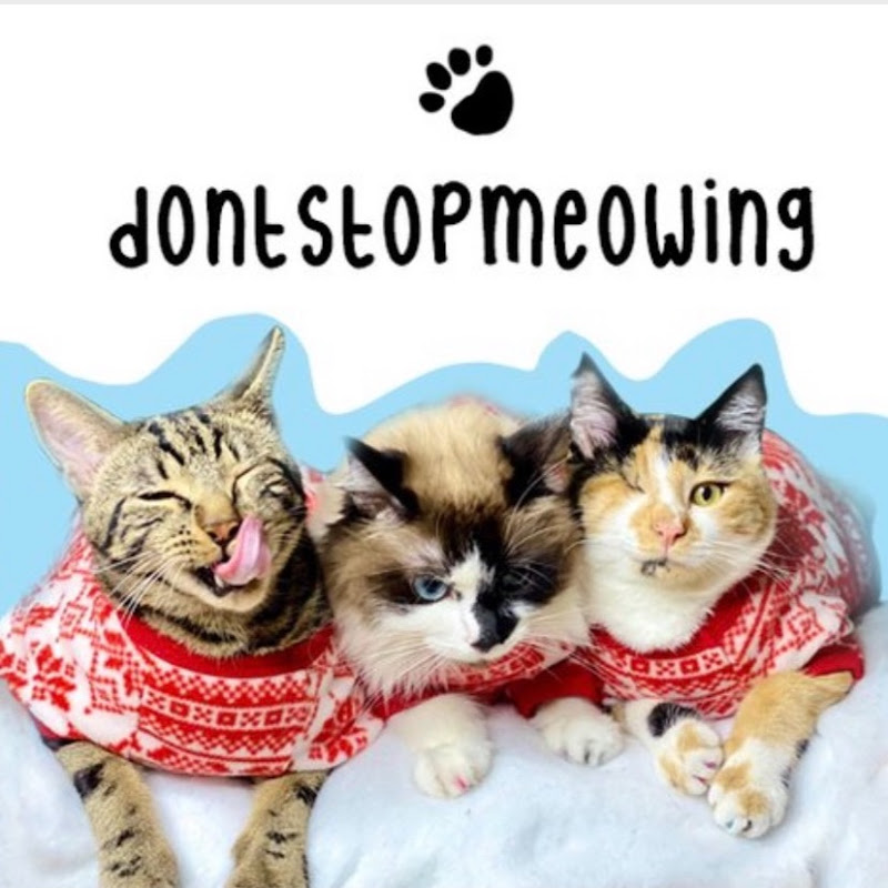 DontStopMeowing