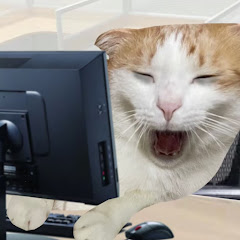 jackals channelアイコン画像