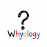 4UvTQ0eHhPk-channel-avatar-Whyologica