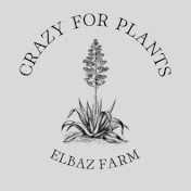 ELBAZ FARM VIDEO