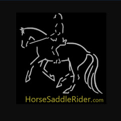 Horse Saddle Rider