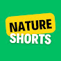Nature Shorts logo