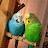 @Sol_8848