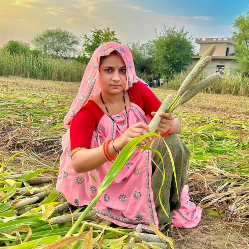 ZX farmer 