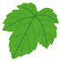 Ty_l8SlFLYk-channel-avatar-hagasa