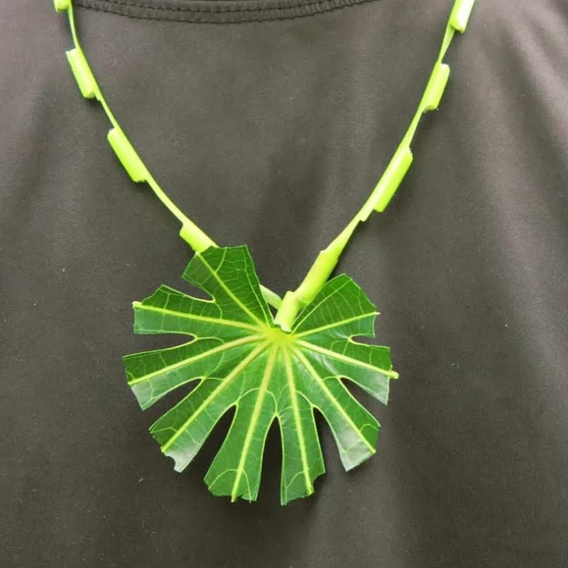 Sáng Tạo Mỗi Ngày