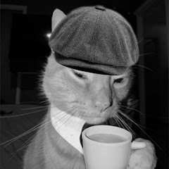 Café com Gato