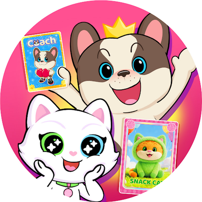 PAWSUM Pets Card Game